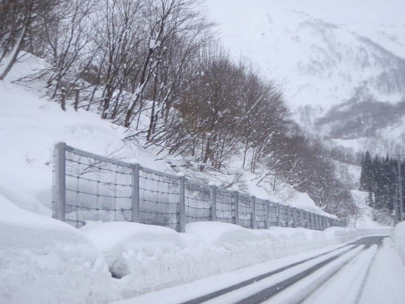 県道長者原下新田線雪崩防護柵設置工事