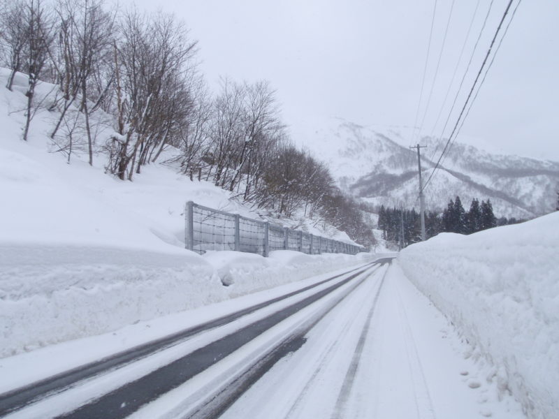 県道長者原下新田線雪崩防護柵設置工事