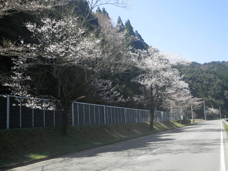 国道３２７号坂本工区道路防災工事